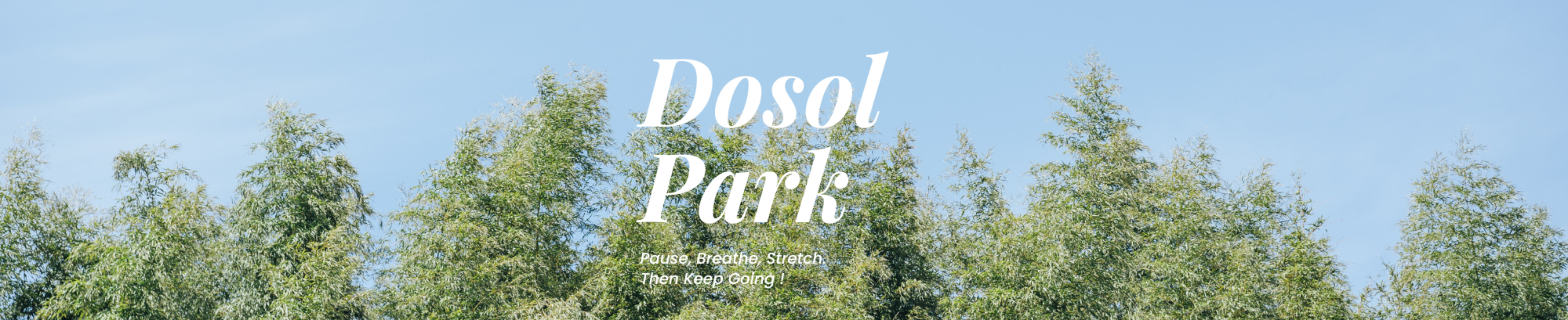Dosol Park 블로그 배너